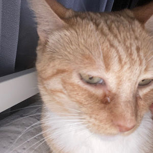 Meet your Posher, Valerie